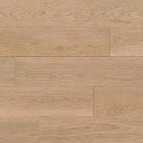 718 Дуб Орландо