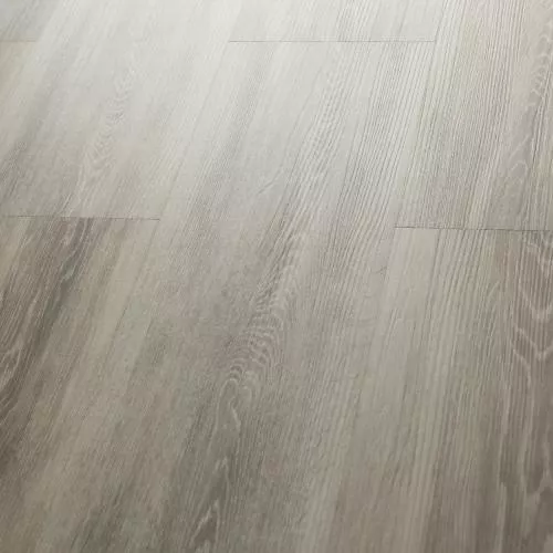 Q-13 Дуб Квинс