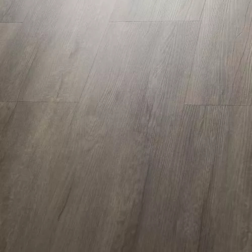 Q-16 Дуб Сохо