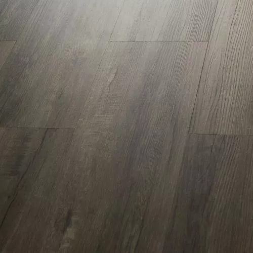 Q-17 Дуб Кросби