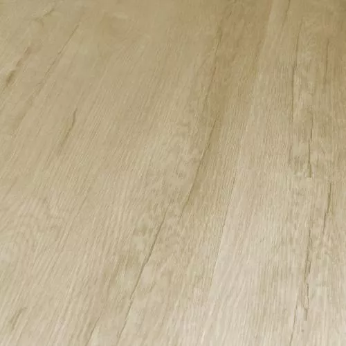 Q10 Дуб Челси