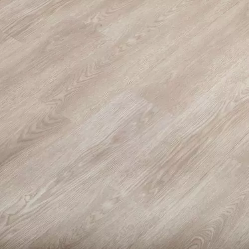 E-008-10 Дуб Бертран (Bertrand)