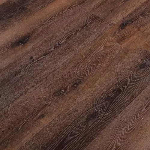 R-010-09 Дуб Брабант (Brabant)