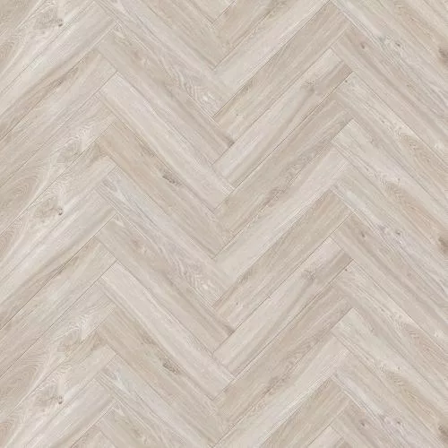  Дуб Кремовый