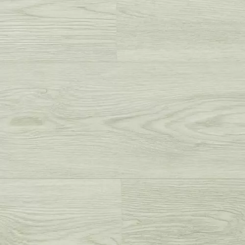  Дуб Бенедикт