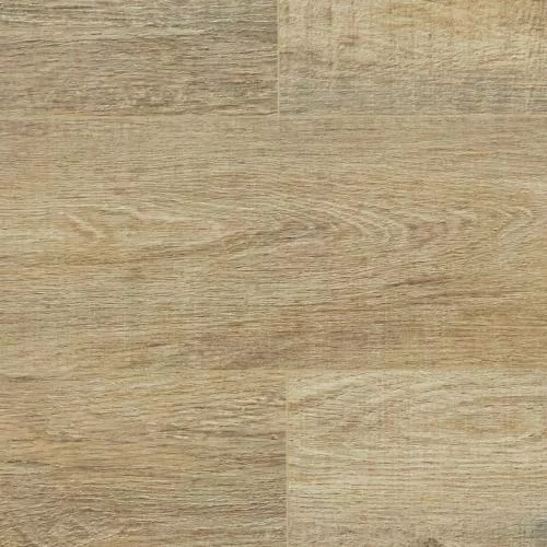  Дуб Падуанский