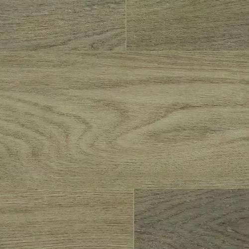  Дуб Сантьяго