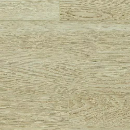  Дуб Шарбель