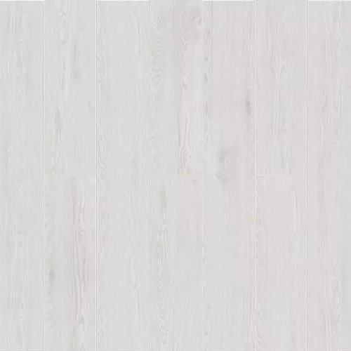  Дуб Атланта