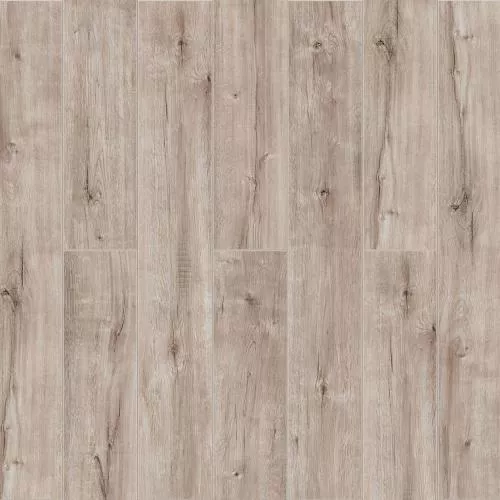  Дуб Дымчатый