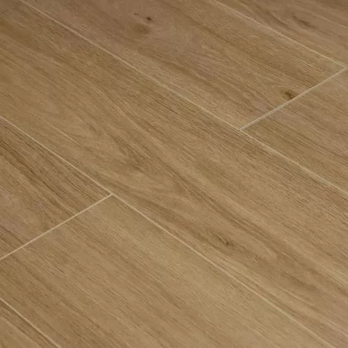  Дуб Классический