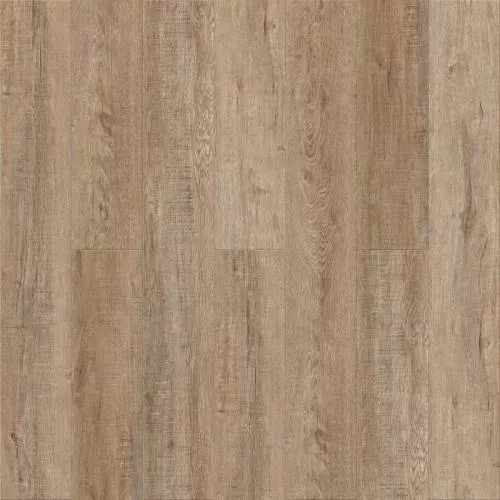  Дуб Медовый