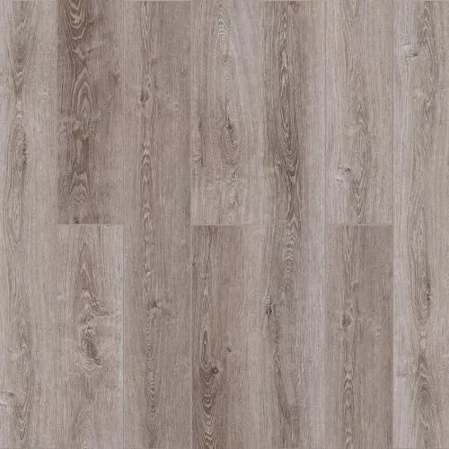  Дуб Миндаль