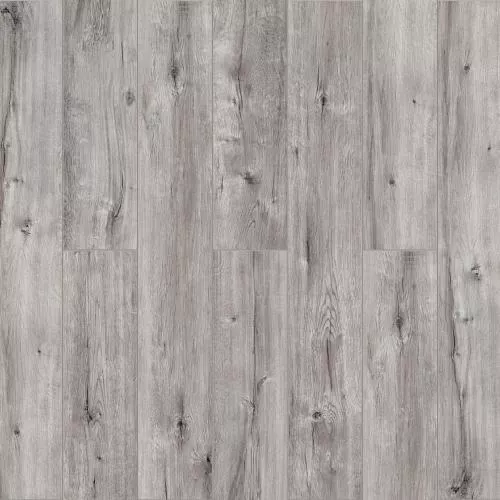  Дуб Пепельный