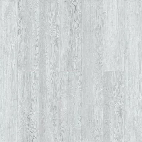  Дуб Полярный