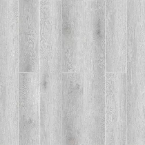  Дуб Снежный