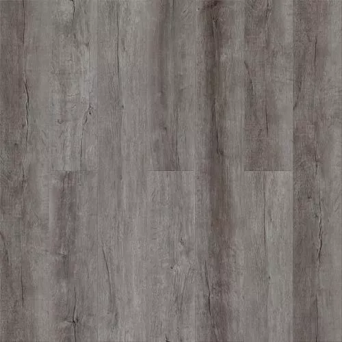 1581 Дуб Камелот