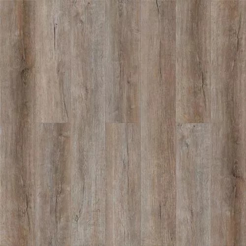 1583 Дуб Кельтский