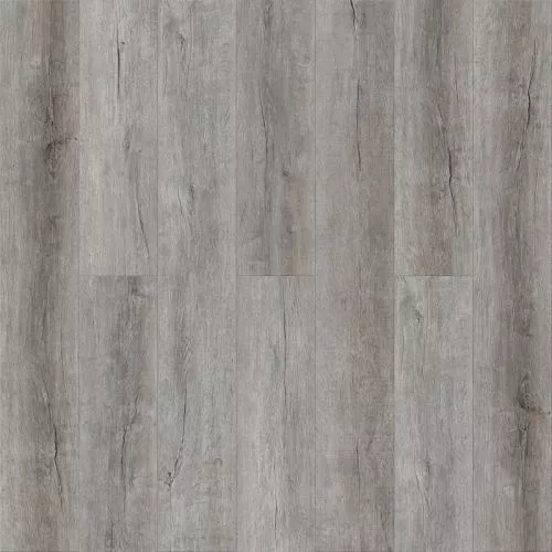 1584 Дуб Эктор