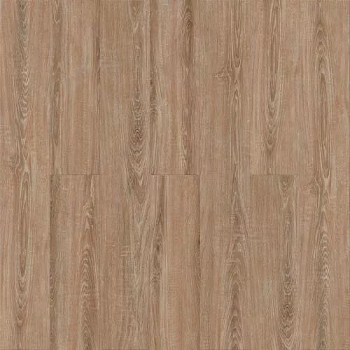 1586 Дуб Валлийский