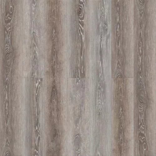 1588 Дуб Янтарный