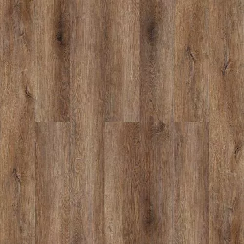 1589 Дуб Рыцарский