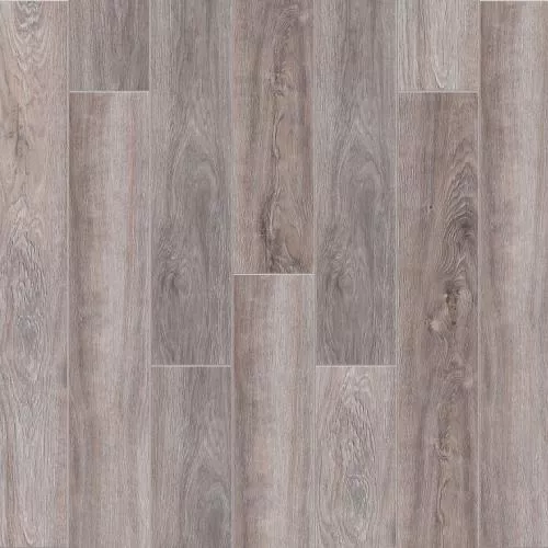 2001 Дуб Аризона