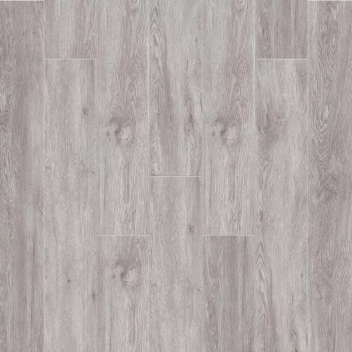 2003 Дуб Огайо