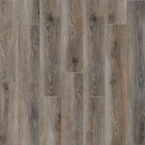 2007 Дуб Тонгасс