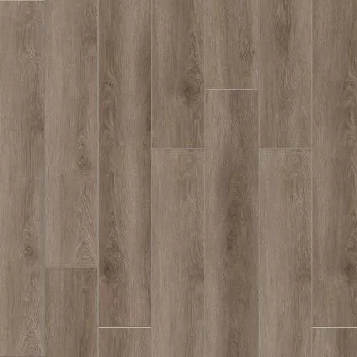 2008 Дуб Чаннел