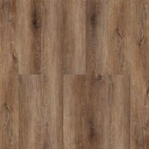 3001 Дуб Реттенбах