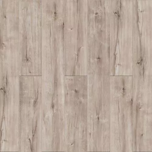 3005 Дуб Чиантар