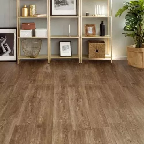 06-120 Кипарис Тёмный