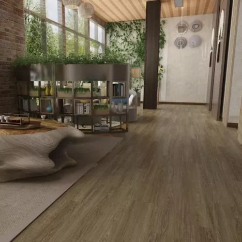 06-20 Кипарис Коньячный