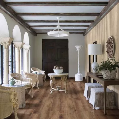 31233 Дуб Итцехо