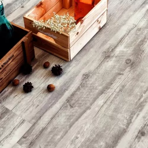 0107-80 Акация