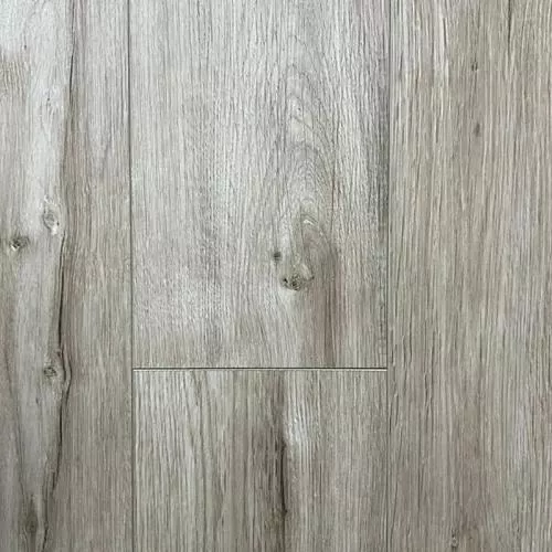  Дуб Дрезден