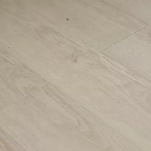  Дуб Эрланген