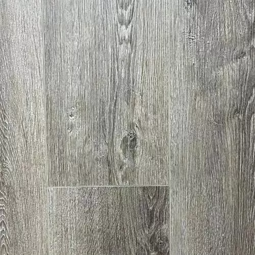  Дуб Кассель