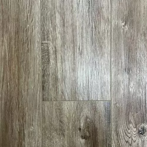  Дуб Хамельн