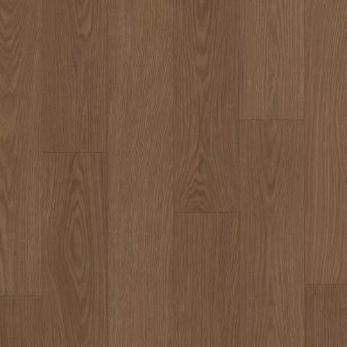 AVSPU 40279 Дуб какао