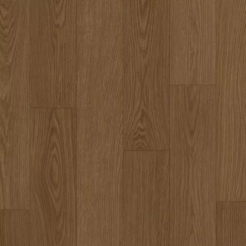 AVSPT 40279 Дуб какао