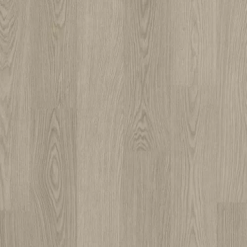 AVSPT 40280 Дуб чиа