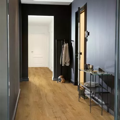  Дуб осенний медовый