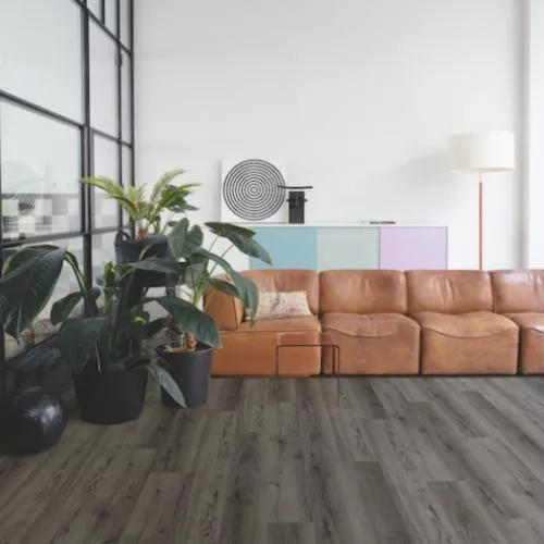 ASPC20245 Дуб Темно-коричневый