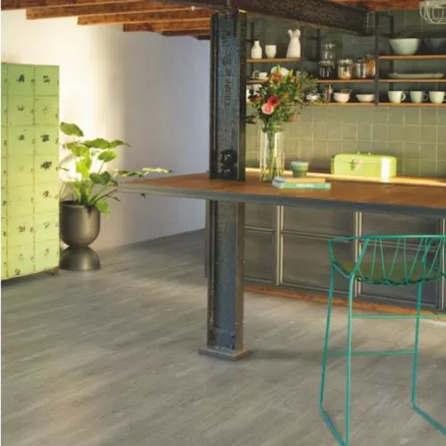 ASPC20242 Дуб Греш