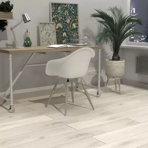 CSPC20295 Дуб Северный серый