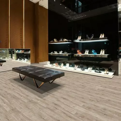 CSPC20296 Дуб Северный Греш