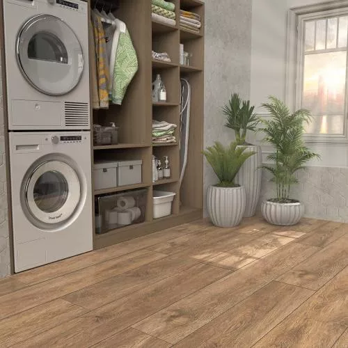 CSPC20299 Дуб Северный коричневый