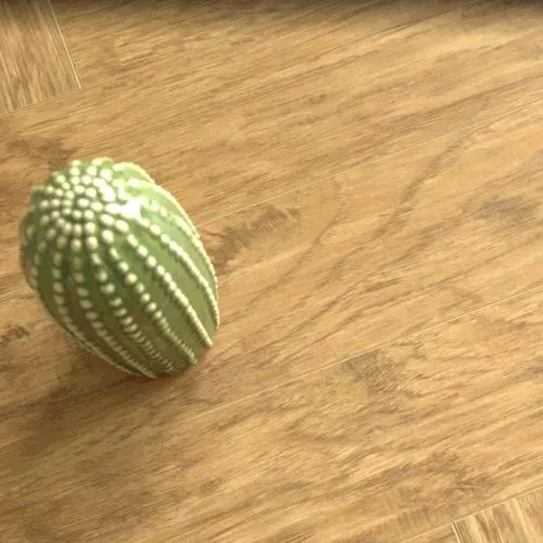 2304 Грецкий Орех